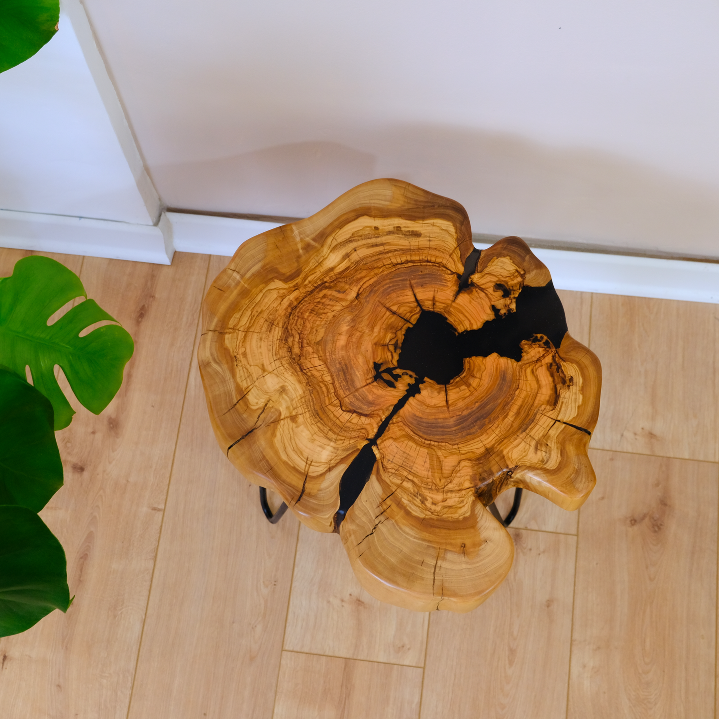 Olive Wood and Resin Coffee Table
